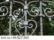 Фрагмент ограды  старинной городской усадьбы в Астрахани. Стоковое фото, фотограф Павел Просянов / Фотобанк Лори