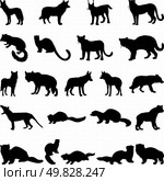 Collection of wolves and martens silhouettes. Vector illustration. Стоковая иллюстрация, агентство Ingram Publishing / Фотобанк Лори