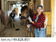European young girl rancher holding rein while standing with horse in stable and petting horse, looking at camera. Woman cleaning floor in background. Стоковое фото, фотограф Яков Филимонов / Фотобанк Лори