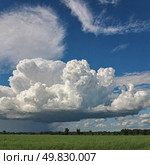 Fluffy white clouds billow in various shapes, casting soft shadows on a vibrant green field, while a bright blue sky brings warmth and serenity to the scene Generative AI. Стоковое AI-изображение, AI-художник Юлия Петровская / Фотобанк Лори