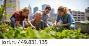 Happy senior woman gardening with group of young volunteers on rooftop urban farm. Intergenerational team working together with plants outdoors. Стоковое AI-изображение, AI-художник Павел Муравьев / Фотобанк Лори