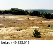 The Courish Split or Curonian Spit, Kaliningrad region, Russia (2024 год). Редакционное фото, фотограф Татьяна Кахилл / Фотобанк Лори