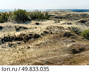 The Courish Split or Curonian Spit, Kaliningrad region, Russia (2024 год). Редакционное фото, фотограф Татьяна Кахилл / Фотобанк Лори