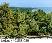The Courish Split or Curonian Spit, Kaliningrad region, Russia (2024 год). Редакционное фото, фотограф Татьяна Кахилл / Фотобанк Лори