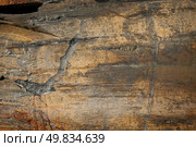 Background texture of earthy colored shale stone. Стоковое фото, агентство Ingram Publishing / Фотобанк Лори