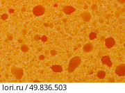 Green and yellow Sponge texture detail. Стоковое фото, агентство Ingram Publishing / Фотобанк Лори