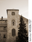 historic building with firtree. Стоковое фото, агентство Ingram Publishing / Фотобанк Лори