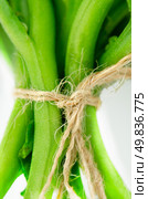 Green vegetables tied with rafia closeup. Стоковое фото, агентство Ingram Publishing / Фотобанк Лори