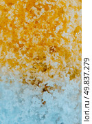 Plant and Flower Gel Floral Colour Water Beads. Стоковое фото, агентство Ingram Publishing / Фотобанк Лори