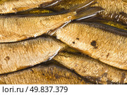 Background of the cooked sea sprats. Cooked fish. Стоковое фото, агентство Ingram Publishing / Фотобанк Лори