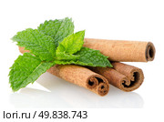 Cinnamon sticks on white reflective background. Стоковое фото, агентство Ingram Publishing / Фотобанк Лори