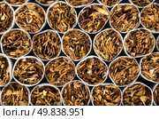 Close-up of cigarettes. Background of cigarettes. Стоковое фото, агентство Ingram Publishing / Фотобанк Лори