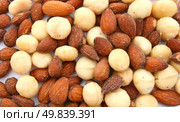 Heap of Roasted almond and macadamia using as Food background. Стоковое фото, агентство Ingram Publishing / Фотобанк Лори