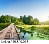Bridge over a swampy river on sunrise. Стоковое фото, агентство Ingram Publishing / Фотобанк Лори