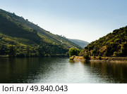 Terraced vineyards in Douro Valley, Alto Douro Wine Region in northern Portugal, officially designated by UNESCO as World Heritage Site. Стоковое фото, агентство Ingram Publishing / Фотобанк Лори