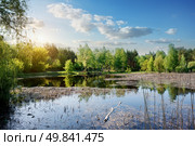 Duckweed on a river at the sunrise. Стоковое фото, агентство Ingram Publishing / Фотобанк Лори