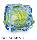 Ice cube with brussel sprouts isolated on white. Стоковое фото, агентство Ingram Publishing / Фотобанк Лори