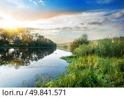 Reeds and duckweed on the river at sunset. Стоковое фото, агентство Ingram Publishing / Фотобанк Лори