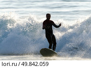 Long boarder surfing the waves at sunset in Portugal. Стоковое фото, агентство Ingram Publishing / Фотобанк Лори