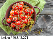 Canned tomatoes. Стоковое фото, агентство Ingram Publishing / Фотобанк Лори