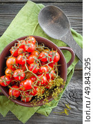 Canned tomatoes. Стоковое фото, агентство Ingram Publishing / Фотобанк Лори