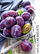 Plums. Стоковое фото, агентство Ingram Publishing / Фотобанк Лори