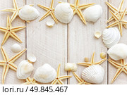 Sea shells. Стоковое фото, агентство Ingram Publishing / Фотобанк Лори