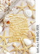 Sea shells. Стоковое фото, агентство Ingram Publishing / Фотобанк Лори
