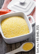 Millet. Стоковое фото, агентство Ingram Publishing / Фотобанк Лори