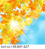 Autumn maple leaves background. Vector illustration with transparency and meshes. EPS10. Стоковая иллюстрация, агентство Ingram Publishing / Фотобанк Лори