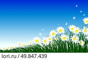 Meadow color background with butterflies and chamomiles. All objects are separated. Vector illustration with transparency. Eps 10. Стоковая иллюстрация, агентство Ingram Publishing / Фотобанк Лори