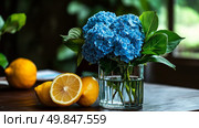 Freshly Cut Blue Hydrangeas and Lemons on a Rustic Outdoor Table in a Lush Garden Setting. Стоковое AI-изображение, AI-художник Юлия Гапеенко / Фотобанк Лори