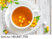 Herbal tea with hawthorn. Стоковое фото, агентство Ingram Publishing / Фотобанк Лори