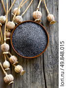 Poppy seeds. Стоковое фото, агентство Ingram Publishing / Фотобанк Лори