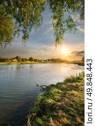 Osier by the river and beautiful sunset. Стоковое фото, агентство Ingram Publishing / Фотобанк Лори