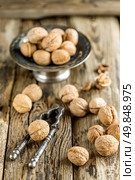 Walnuts. Стоковое фото, агентство Ingram Publishing / Фотобанк Лори