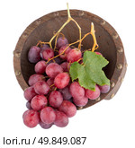 Fresh red grapes in wood bown isolated on white background. Стоковое фото, агентство Ingram Publishing / Фотобанк Лори