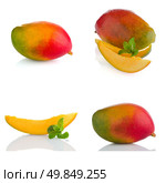 Set of mango fruit on white reflective background. Стоковое фото, агентство Ingram Publishing / Фотобанк Лори