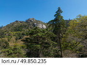 Castelo dos Mouros, Sintra, Portugal. Стоковое фото, агентство Ingram Publishing / Фотобанк Лори
