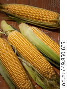 corn cobs treated on the table. Стоковое фото, агентство Ingram Publishing / Фотобанк Лори