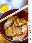 gourmet Unagi donburi, grilled japanese eel on rice. Стоковое фото, агентство Ingram Publishing / Фотобанк Лори