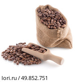 Pinto beans bag with wooden scoop on white background. Стоковое фото, агентство Ingram Publishing / Фотобанк Лори