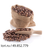Pinto beans bag with wooden scoop on white background. Стоковое фото, агентство Ingram Publishing / Фотобанк Лори