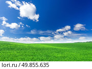Green field. Стоковое фото, агентство Ingram Publishing / Фотобанк Лори