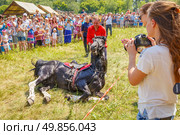 Russia, Samara, June 2016: A dashing Cossack on horseback during a demonstration performance at the Journey to the Past festival. Редакционное фото, фотограф Акиньшин Владимир / Фотобанк Лори