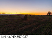 Вечерний туман. Стоковое фото, фотограф Андрей Конев / Фотобанк Лори