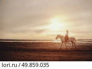 Along the Sandy Shore a Woman Rides Her Horse at Sunset. Стоковое фото, фотограф Aleksandr Golubev / Фотобанк Лори