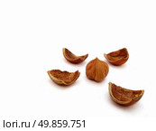 broken nut. Стоковое фото, агентство Ingram Publishing / Фотобанк Лори