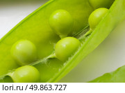 open green pea pod on the white plate. close-up. Стоковое фото, агентство Ingram Publishing / Фотобанк Лори