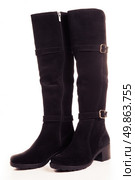 Beautiful, tall black boots with zips and buckles made of suede. On a white background. Стоковое фото, агентство Ingram Publishing / Фотобанк Лори